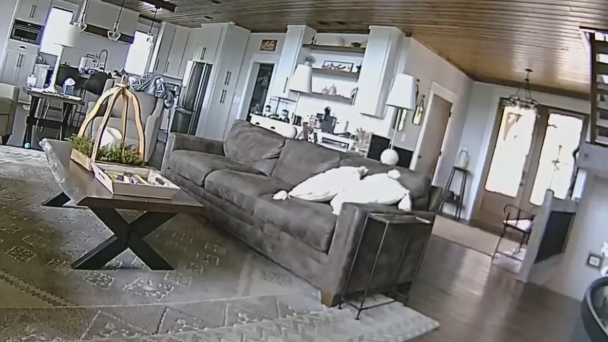 WATCH: Earthquake rattles Georgia